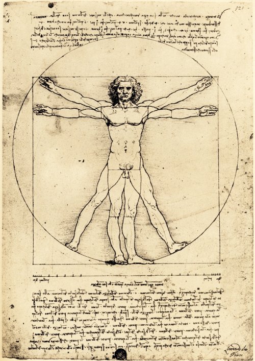 Leonardo da Vinci 'Vitruvian Man' (c.1490)